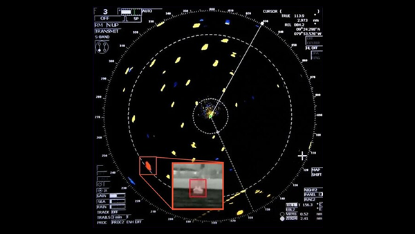 Brain's Blueprint AI Architecture