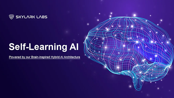 Brain's Blueprint AI Architecture