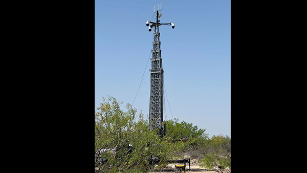 Brain's Blueprint AI Architecture