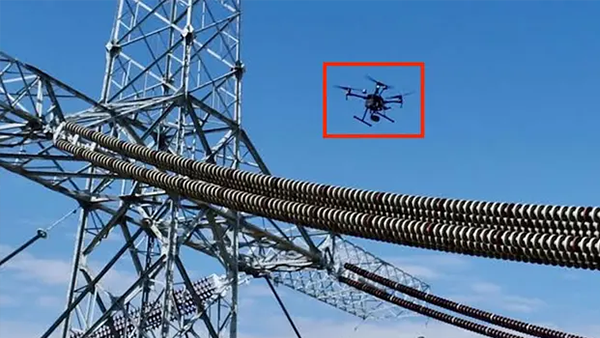 Brain's Blueprint AI Architecture