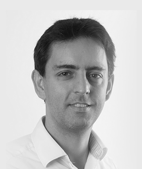 Dr. Andrea Soltoggio